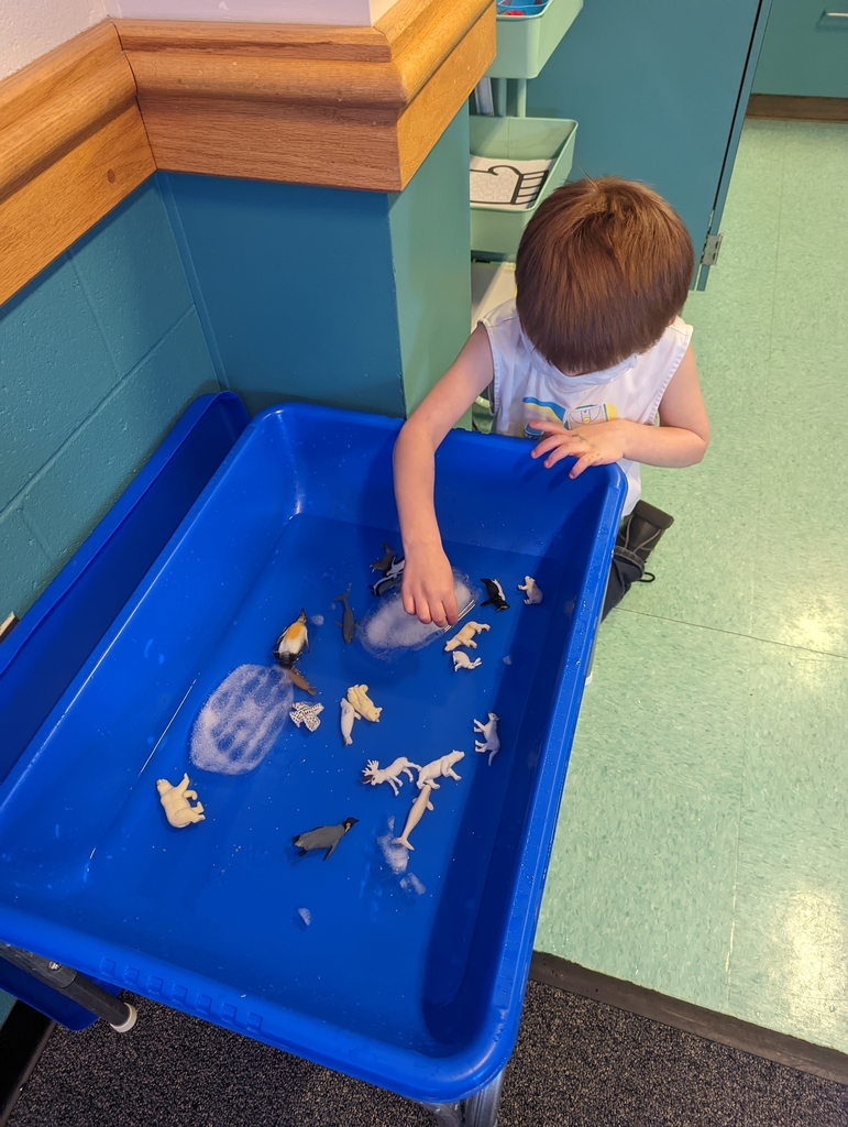 Preschooler playing in sensory bin with iceburgs and Arctic animals