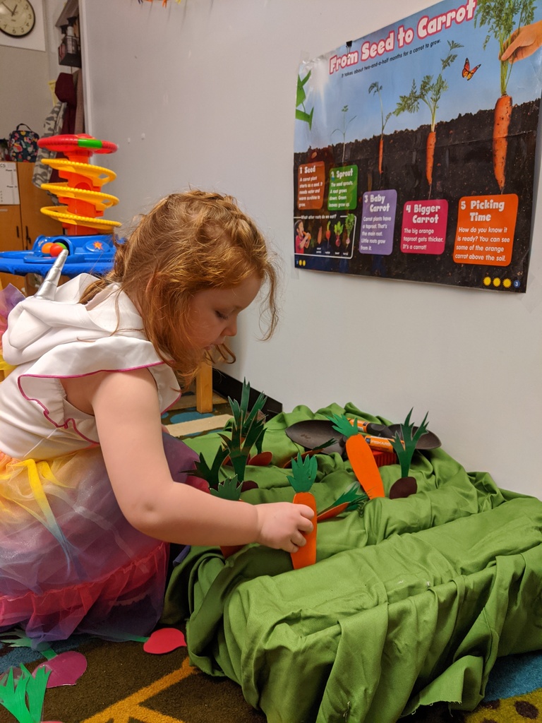 student picking vegetables out of garden in dramatic play area