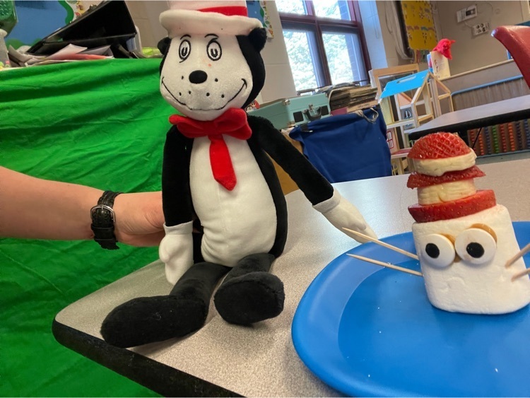 cat in the hat doll