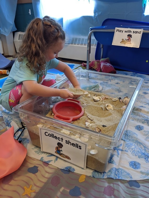 One student uses a sifter to dig for sea shells.